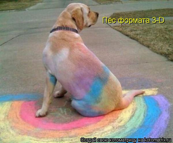 Пёс формата 3-D... Котоматрица: Пёс формата 3-D