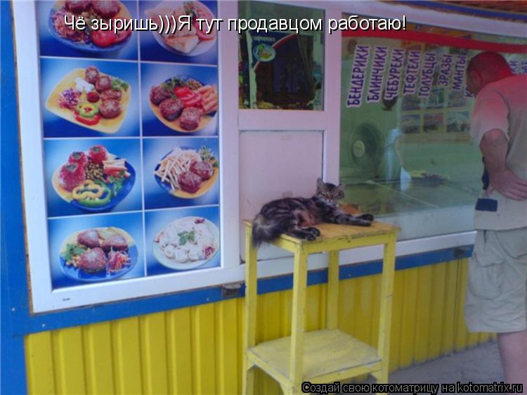 Чё зыришь)))Я тут продавцом работаю!... Котоматрица: Чё зыришь)))Я тут продавцом работаю!