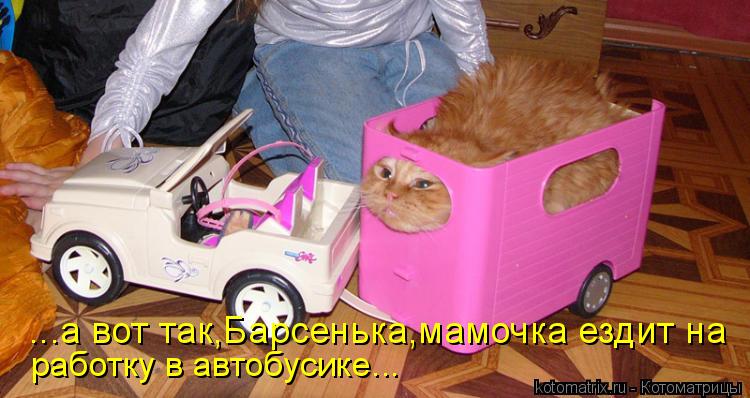 Котоматрица: ...а вот так,Барсенька,мамочка ездит на работку в автобусике...
