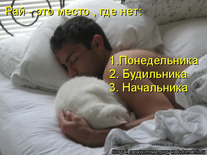 Рай - это место , где нет: 1.Понедельника 2. Будильника 3. Начальника... Котоматрица: Рай - это место , где нет: 1.Понедельника 2. Будильника 3. Начальника