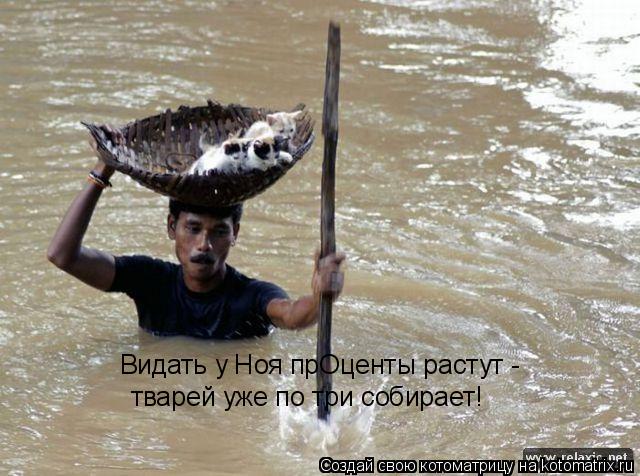 Видать у Ноя прОценты растут - тварей уже по три собирает!... Котоматрица: Видать у Ноя прОценты растут - тварей уже по три собирает!