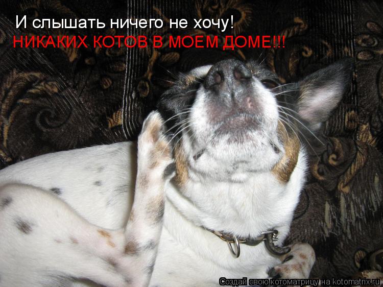 Котоматрица: И слышать ничего не хочу! НИКАКИХ КОТОВ В МОЕМ ДОМЕ!!!