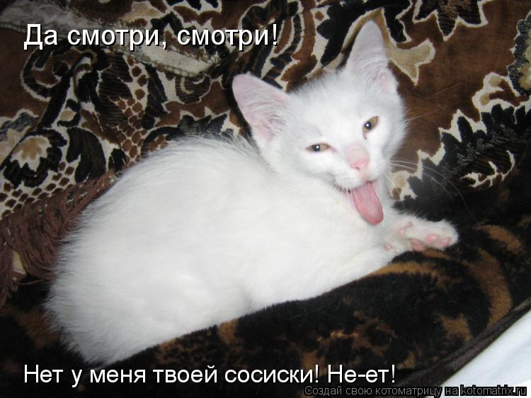 Котоматрица: Да смотри, смотри! Нет у меня твоей сосиски! Не-ет!