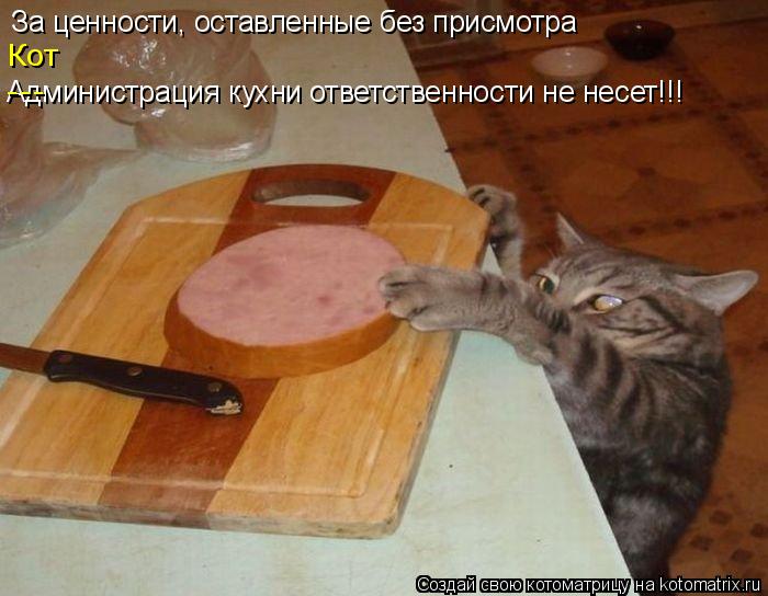 За ценности, оставленные без присмотра Администрация кухни ответственности не несет!!! Кот ---... Котоматрица: За ценности, оставленные без присмотра Администрация кухни ответственности не несет!!! Кот ---