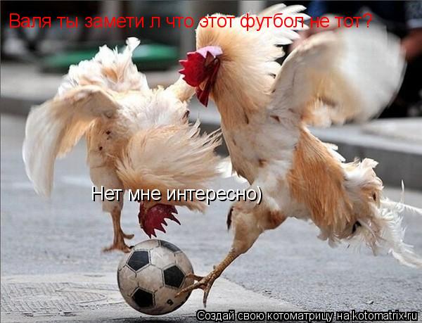 Котоматрица: Валя ты замети л что этот футбол не тот? Нет мне интересно)