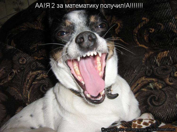 Котоматрица: АА!Я 2 за математику получил!А!!!!!!!