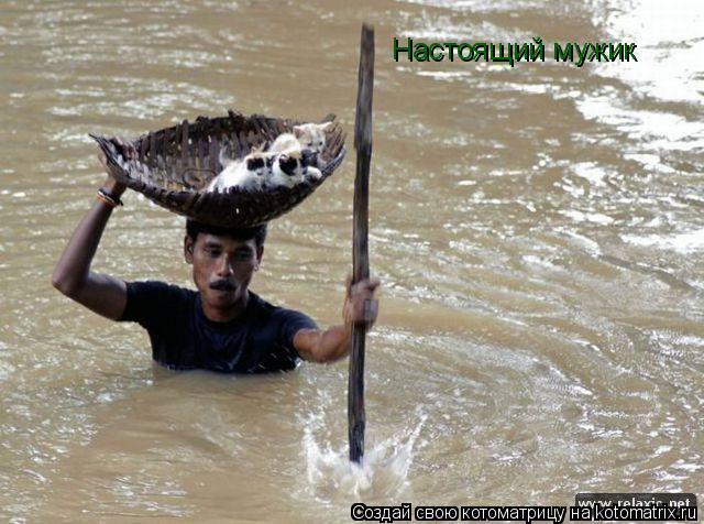 Настоящий мужик... Котоматрица: Настоящий мужик