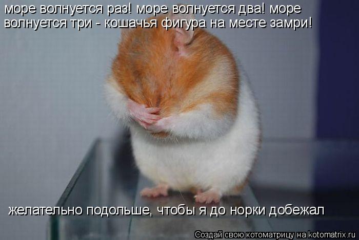 Котоматрица: море волнуется раз! море волнуется два! море волнуется три - кошачья фигура на месте замри! желательно подольше, чтобы я до норки добежал