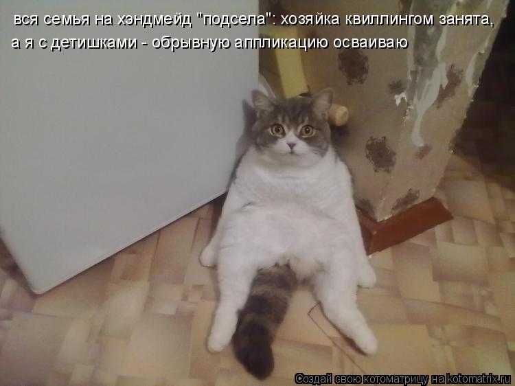 Котоматрица: вся семья на хэндмейд "подсела": хозяйка квиллингом занята, а я с детишками - обрывную аппликацию осваиваю