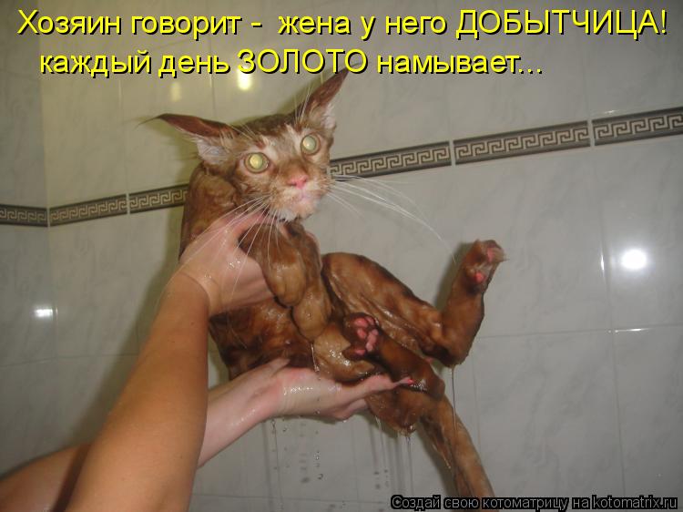 Хозяин говорит - жена у него ДОБЫТЧИЦА! каждый день ЗОЛОТО намывает...... Котоматрица: Хозяин говорит - жена у него ДОБЫТЧИЦА! каждый день ЗОЛОТО намывает...