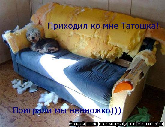 Приходил ко мне Татошка! Поиграли мы немножко)))... Котоматрица: Приходил ко мне Татошка! Поиграли мы немножко)))