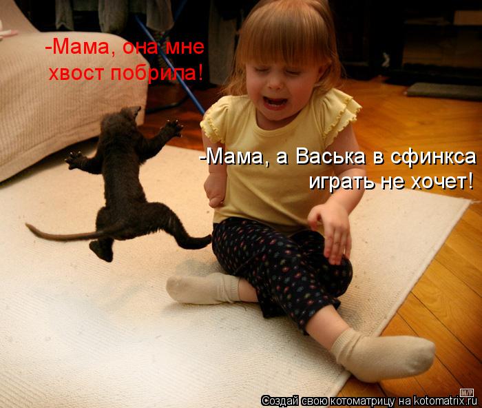 -Мама, а Васька в сфинкса играть не хочет! -Мама, она мне хвост побрила!... Котоматрица: -Мама, а Васька в сфинкса играть не хочет! -Мама, она мне хвост побрила!