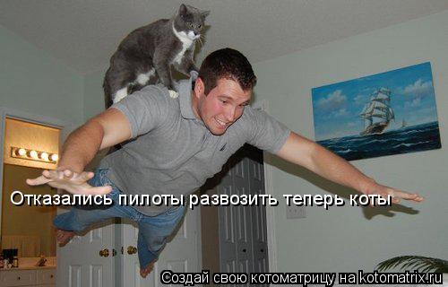 Отказались пилоты развозить теперь коты... Котоматрица: Отказались пилоты развозить теперь коты