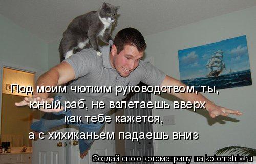 Под моим чютким руководством, ты, юный раб, не взлетаешь вверх как тебе кажется, а с хихиканьем пада... Котоматрица: Под моим чютким руководством, ты, юный раб, не взлетаешь вверх как тебе кажется, а с хихиканьем падаешь вниз