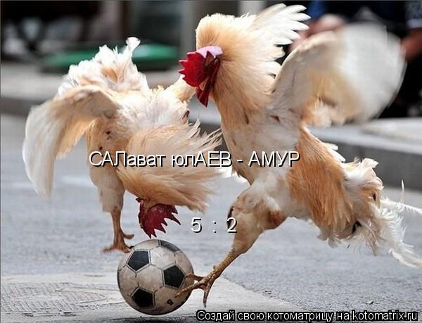 Котоматрица: САЛават юлАЕВ - АМУР 5  :  2