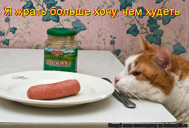 Я жрать больше хочу, чем худеть Я жрать больше хочу, чем худеть... Котоматрица: Я жрать больше хочу, чем худеть Я жрать больше хочу, чем худеть