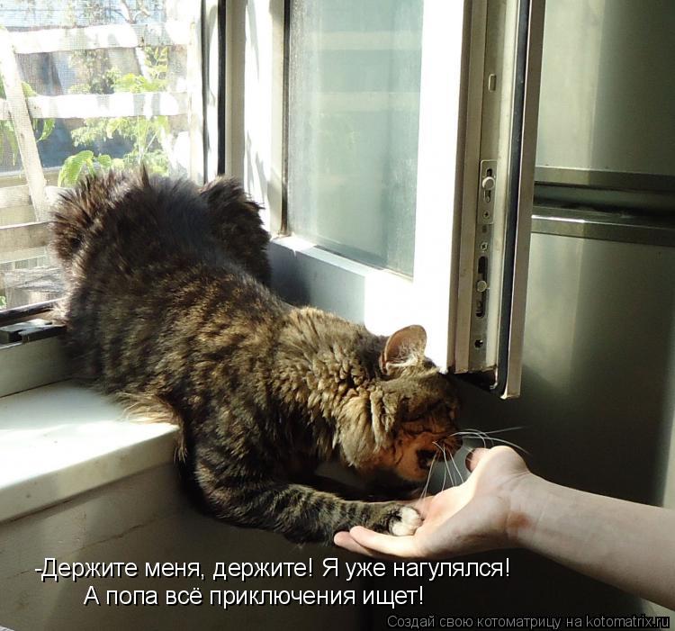 -Держите меня, держите! Я уже нагулялся! А попа всё приключения ищет!... Котоматрица: -Держите меня, держите! Я уже нагулялся! А попа всё приключения ищет!
