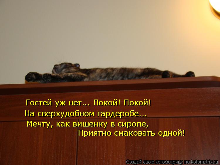 Гостей уж нет... Покой! Покой! На сверхудобном гардеробе... Мечту, как вишенку в сиропе, Приятно смак... Котоматрица: Гостей уж нет... Покой! Покой! На сверхудобном гардеробе... Мечту, как вишенку в сиропе, Приятно смаковать одной!