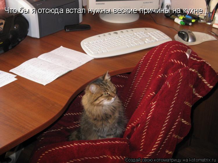 Что бы я отсюда встал нужны веские причины на кухне...... Котоматрица: Что бы я отсюда встал нужны веские причины на кухне...