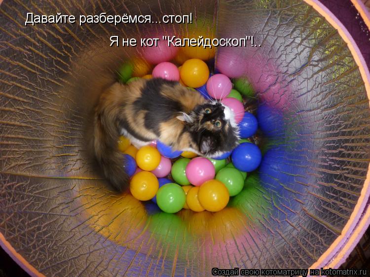 Давайте разберёмся...стоп! Я не кот "Калейдоскоп"!..... Котоматрица: Давайте разберёмся...стоп! Я не кот "Калейдоскоп"!..
