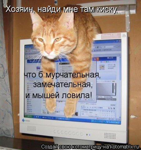 Хозяин, найди мне там киску, что б мурчательная, замечательная, и мышей ловила!... Котоматрица: Хозяин, найди мне там киску, что б мурчательная, замечательная, и мышей ловила!