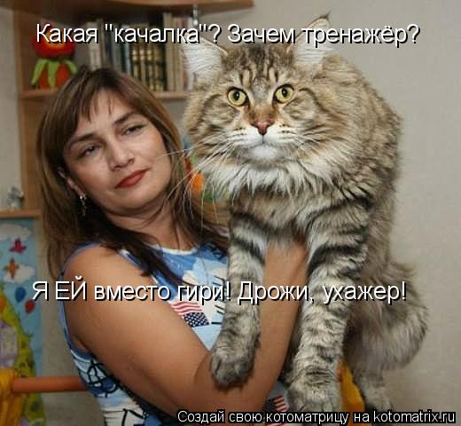 Какая "качалка"? Зачем тренажёр? Я ЕЙ вместо гири! Дрожи, ухажер!... Котоматрица: Какая "качалка"? Зачем тренажёр? Я ЕЙ вместо гири! Дрожи, ухажер!