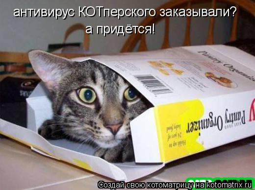 антивирус КОТперского заказывали? а придётся!... Котоматрица: антивирус КОТперского заказывали? а придётся!