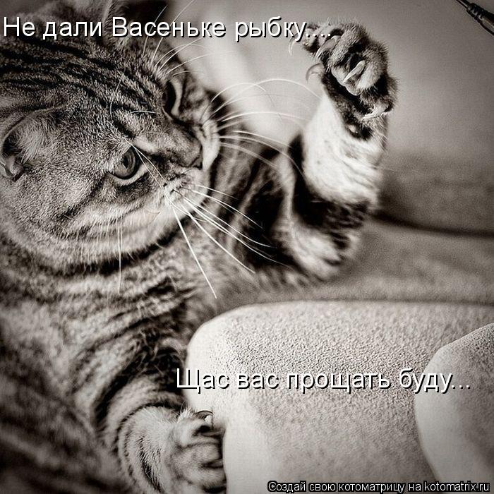 Не дали Васеньке рыбку.... Щас вас прощать буду...... Котоматрица: Не дали Васеньке рыбку.... Щас вас прощать буду...