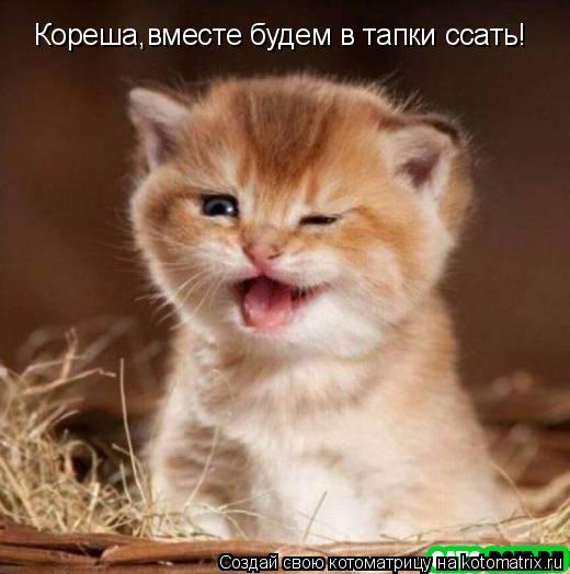 Кореша,вместе будем в тапки ссать!... Котоматрица: Кореша,вместе будем в тапки ссать!