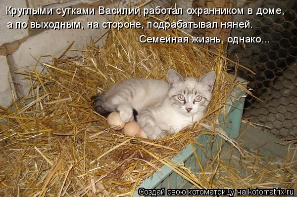 Круглыми сутками Василий работал охранником в доме, Семейная жизнь, однако... а по выходным, на сторо... Котоматрица: Круглыми сутками Василий работал охранником в доме, Семейная жизнь, однако... а по выходным, на стороне, подрабатывал няней.