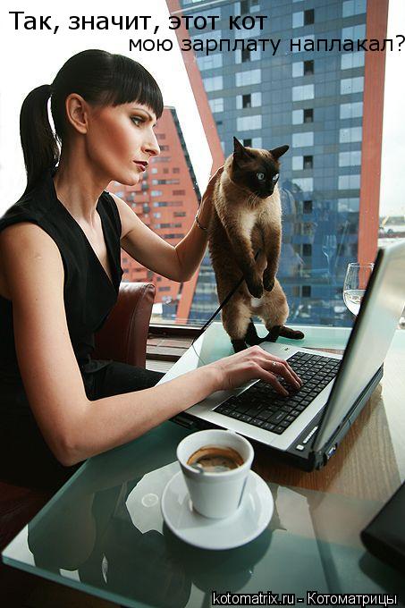 Так, значит, этот кот мою зарплату наплакал?... Котоматрица: Так, значит, этот кот мою зарплату наплакал?