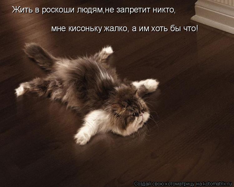 Жить в роскоши людям,не запретит никто, мне кисоньку жалко, а им хоть бы что!... Котоматрица: Жить в роскоши людям,не запретит никто, мне кисоньку жалко, а им хоть бы что!