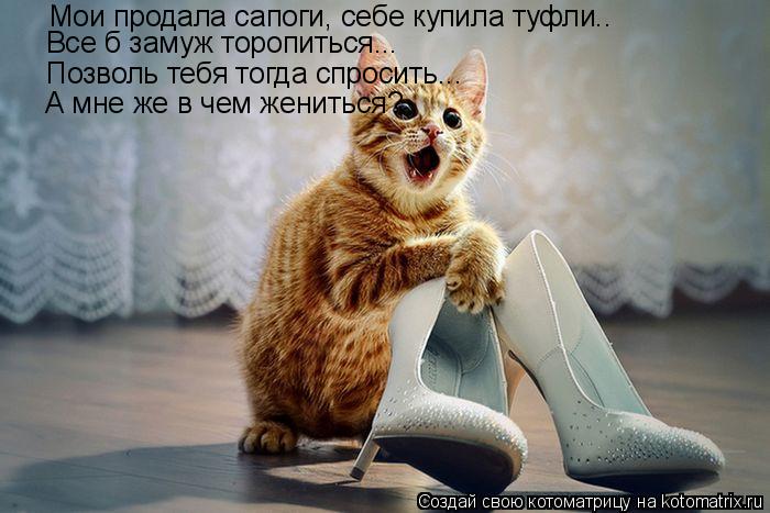 Мои продала сапоги, себе купила туфли.. Все б замуж торопиться... Позволь тебя тогда спросить... А мн... Котоматрица: Мои продала сапоги, себе купила туфли.. Все б замуж торопиться... Позволь тебя тогда спросить... А мне же в чем жениться?