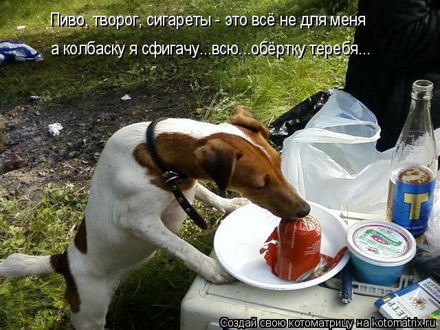 Пиво, творог, сигареты - это всё не для меня а колбаску я сфигачу...всю...обёртку теребя...... Котоматрица: Пиво, творог, сигареты - это всё не для меня а колбаску я сфигачу...всю...обёртку теребя...