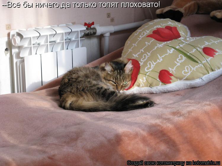 --Всё бы ничего,да только топят плоховато!... Котоматрица: --Всё бы ничего,да только топят плоховато!