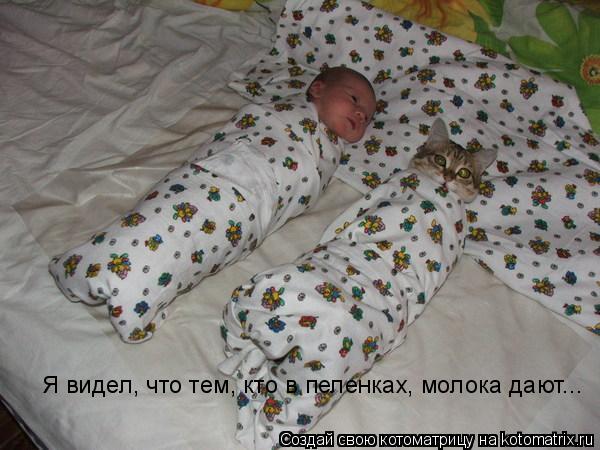 Котоматрица: Я видел, что тем, кто в пеленках, молока дают...
