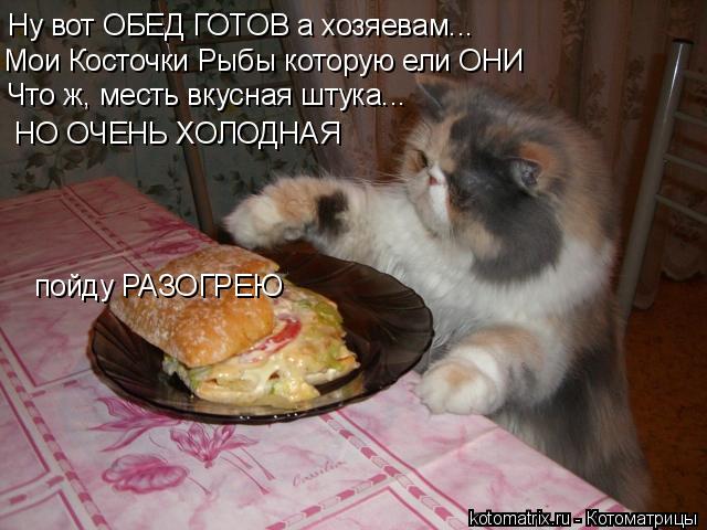 Ну вот ОБЕД ГОТОВ а хозяевам... Мои Косточки Рыбы которую ели ОНИ Что ж, месть вкусная штука... НО ОЧ... Котоматрица: Ну вот ОБЕД ГОТОВ а хозяевам... Мои Косточки Рыбы которую ели ОНИ Что ж, месть вкусная штука... НО ОЧЕНЬ ХОЛОДНАЯ пойду РАЗОГРЕЮ