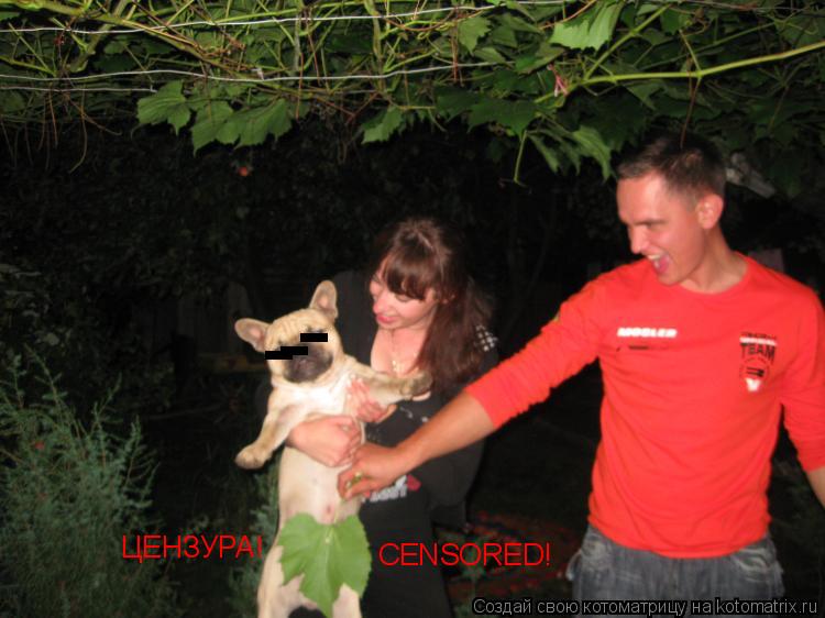 ЦЕНЗУРА! CENSORED! - - -... Котоматрица: ЦЕНЗУРА! CENSORED! - - -