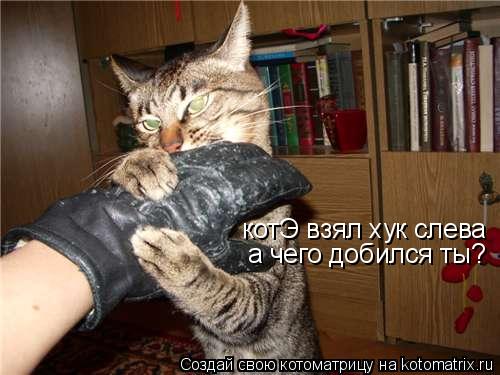 котЭ взял хук слева а чего добился ты?... Котоматрица: котЭ взял хук слева а чего добился ты?