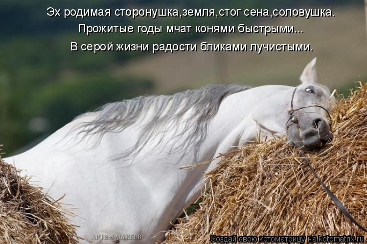 Эх родимая сторонушка,земля,стог сена,соловушка. Прожитые годы мчат конями быстрыми... В серой жизни ... Котоматрица: Эх родимая сторонушка,земля,стог сена,соловушка. Прожитые годы мчат конями быстрыми... В серой жизни радости бликами лучистыми.