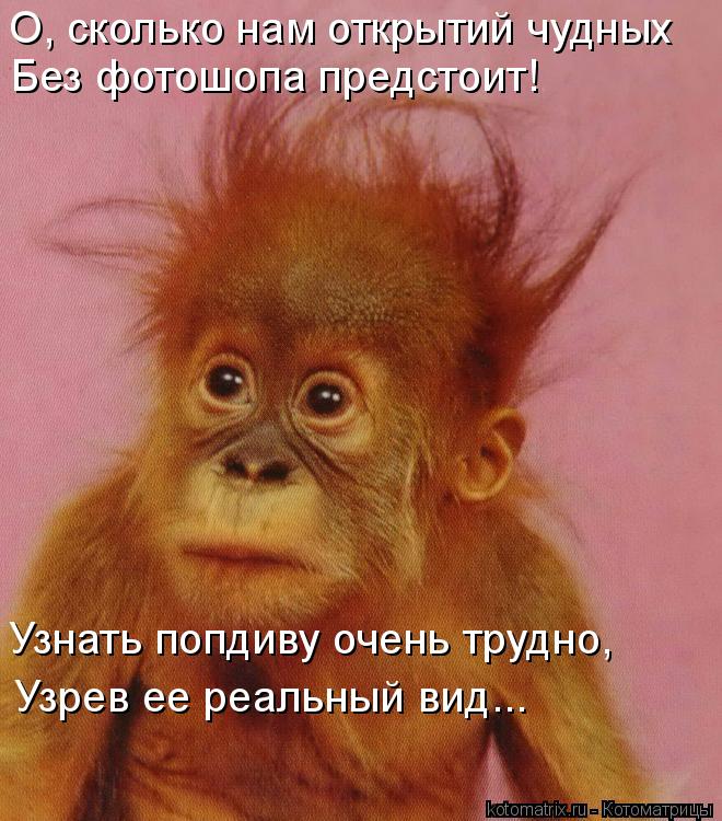 О, сколько нам открытий чудных Без фотошопа предстоит! Узнать попдиву очень трудно, Узрев ее реальны... Котоматрица: О, сколько нам открытий чудных Без фотошопа предстоит! Узнать попдиву очень трудно, Узрев ее реальный вид...