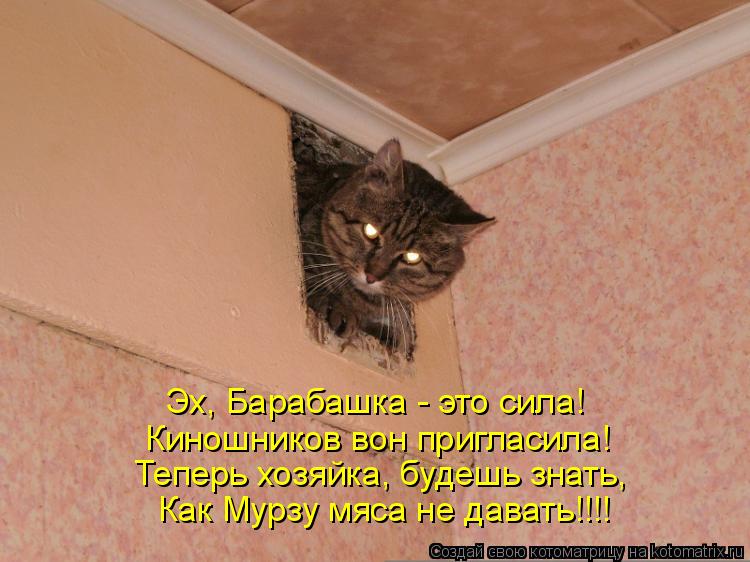 Эх, Барабашка - это сила! Киношников вон пригласила! Теперь хозяйка, будешь знать, Как Мурзу мяса н... Котоматрица: Эх, Барабашка - это сила! Киношников вон пригласила! Теперь хозяйка, будешь знать, Как Мурзу мяса не давать!!!!