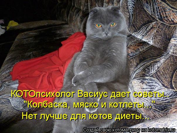 КОТОпсихолог Васиус дает советы.. "Колбаска, мяско и котлеты..." Нет лучше для котов диеты...... Котоматрица: КОТОпсихолог Васиус дает советы.. "Колбаска, мяско и котлеты..." Нет лучше для котов диеты...