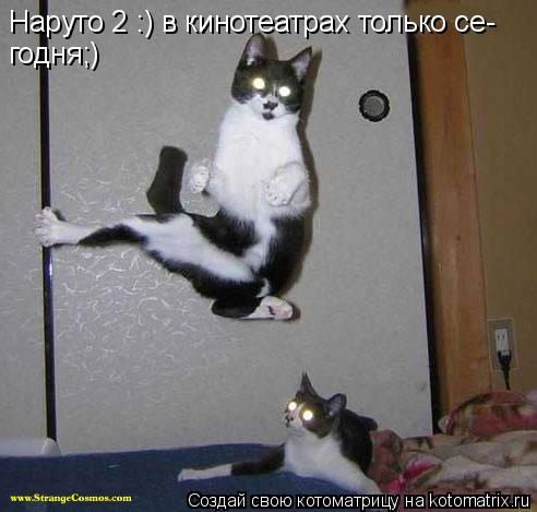 Наруто 2 :) в кинотеатрах только се- годня;)... Котоматрица: Наруто 2 :) в кинотеатрах только се- годня;)