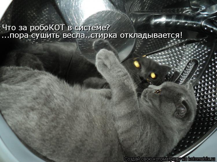 Что за робоКОТ в системе? ...пора сушить весла..стирка откладывается!... Котоматрица: Что за робоКОТ в системе? ...пора сушить весла..стирка откладывается!