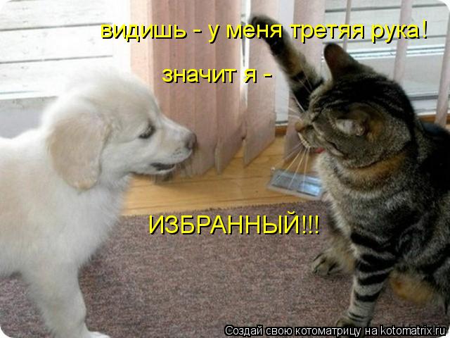 Котоматрица: видишь - у меня третяя рука! значит я -  ИЗБРАННЫЙ!!!