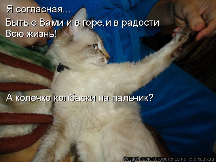 Котоматрица: Я согласная... Всю жизнь! Быть с Вами и в горе,и в радости А колечко колбаски на пальчик?