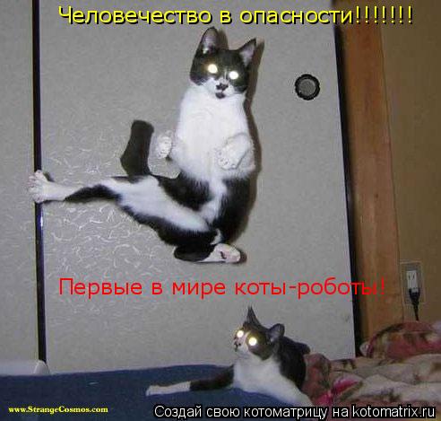 Первые в мире коты-роботы! Первые в мире коты-роботы! Человечество в опасности!!!!!!!... Котоматрица: Первые в мире коты-роботы! Первые в мире коты-роботы! Человечество в опасности!!!!!!!