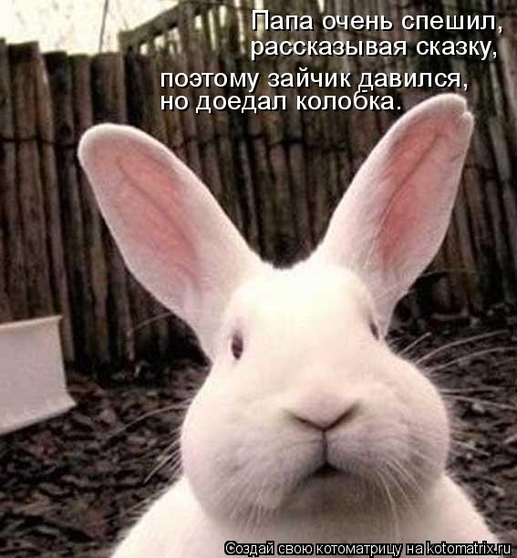 Папа очень спешил, рассказывая сказку, но доедал колобка. поэтому зайчик давился,... Котоматрица: Папа очень спешил, рассказывая сказку, но доедал колобка. поэтому зайчик давился,