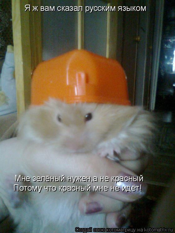 Я ж вам сказал русским языком Мне зелёный нужен,а не красный Потому что красный мне не идёт!... Котоматрица: Я ж вам сказал русским языком Мне зелёный нужен,а не красный Потому что красный мне не идёт!